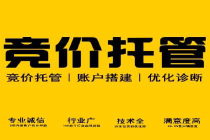 SEM搜索引擎优化案例：揭秘企业品牌知名度提升之道